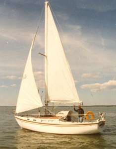 cal 28 (4)