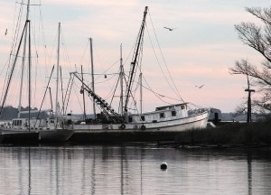 Boat Graveyard